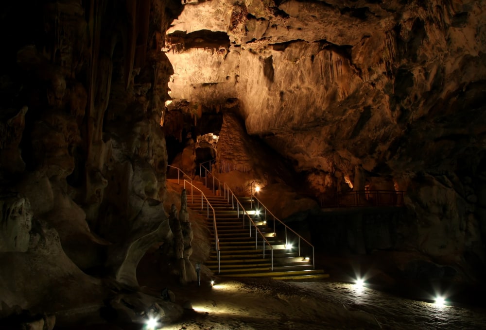 Erebnis Karoo – Strauße und Cango Caves